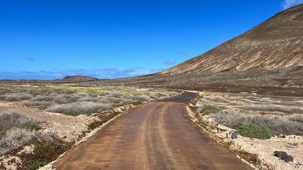 Pavimentos naturales, la opción perfecta para construir en armonía con la naturaleza